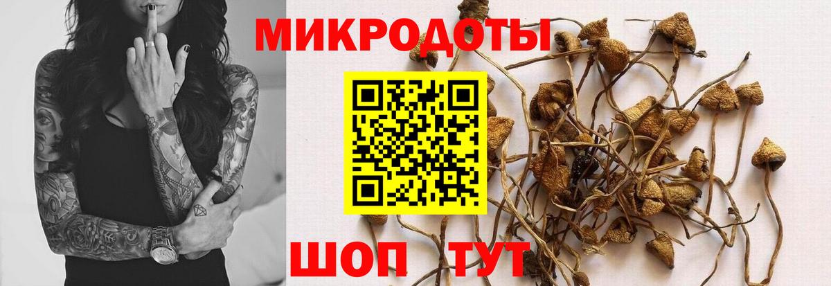 Галлюциногенные грибы Psilocybine cubensis Конаково