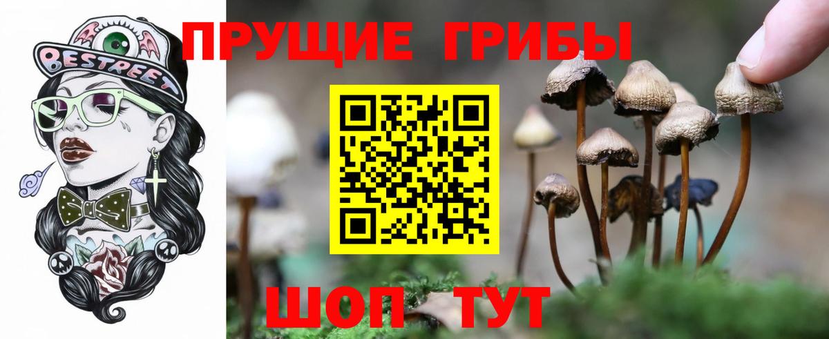 Конаково  Галлюциногенные грибы ЛСД  Вход с VPN 
